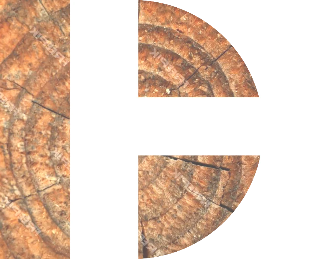 DH Drewno konstrukcyjne DAGMAHOLZ
