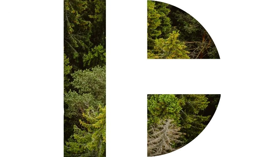 logo footer Drewno konstrukcyjne DAGMAHOLZ